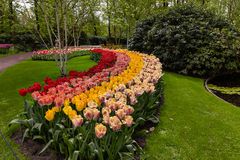 Keukenhof