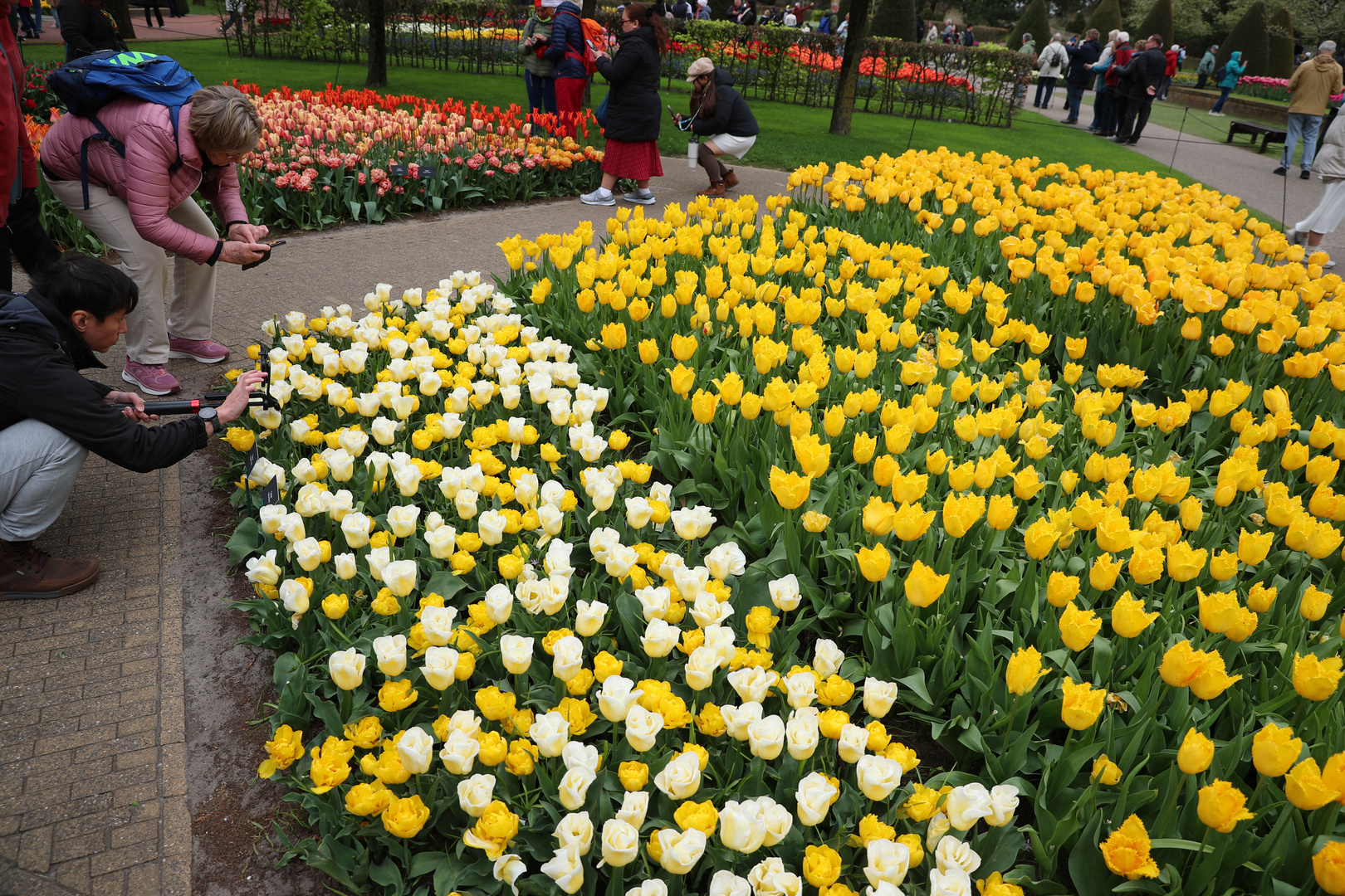 Keukenhof