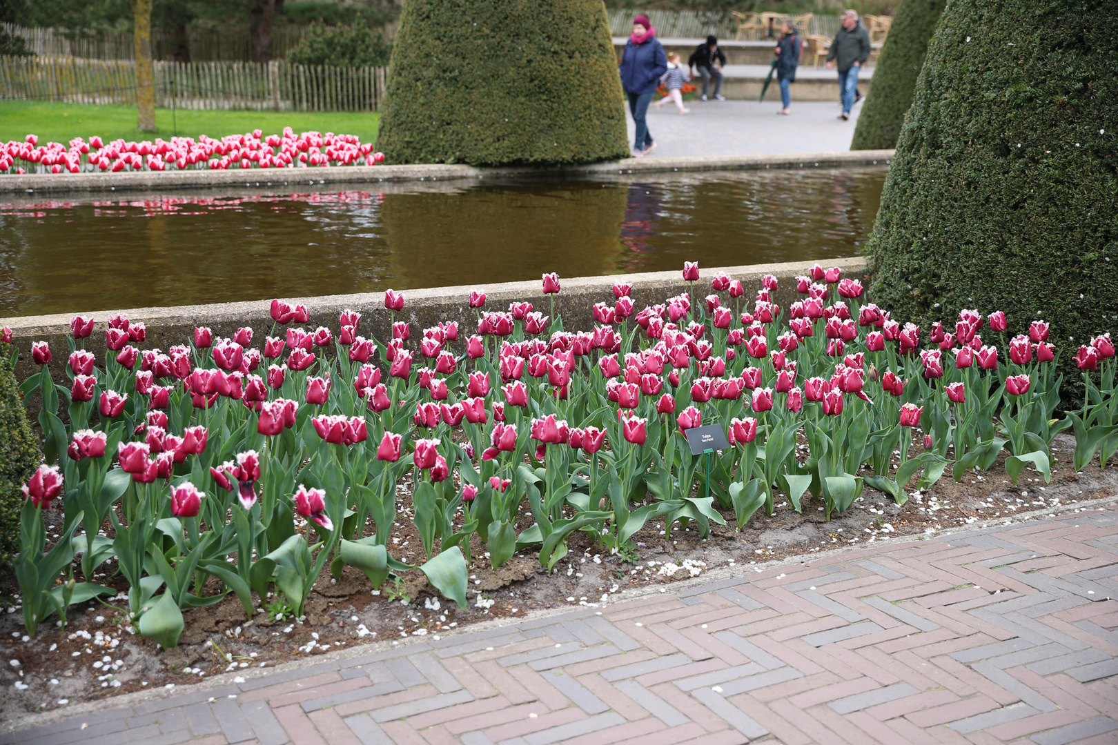 Keukenhof