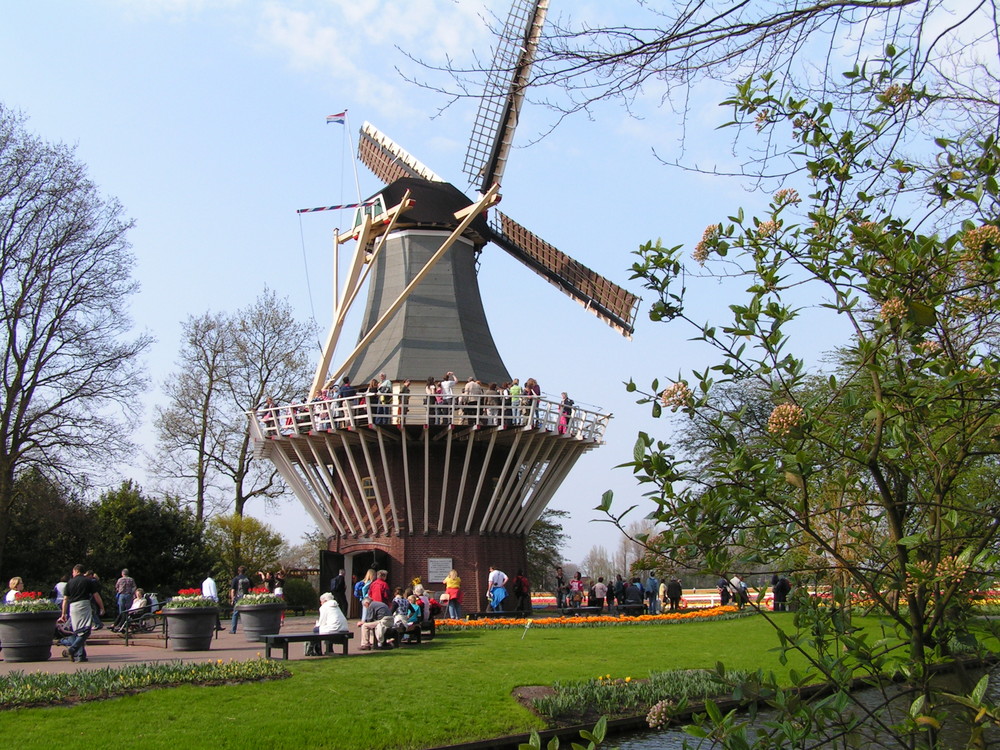 Keukenhof