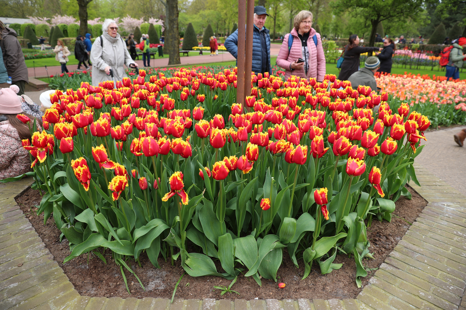 Keukenhof