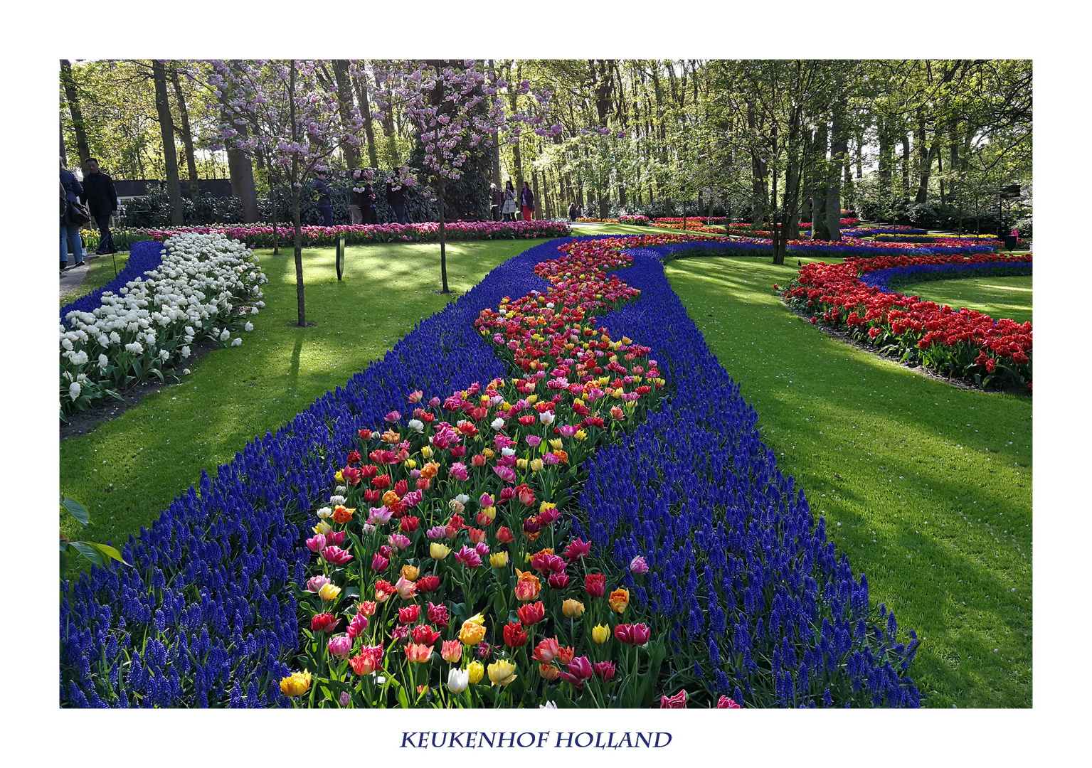 KEUKENHOF APRIL 2018