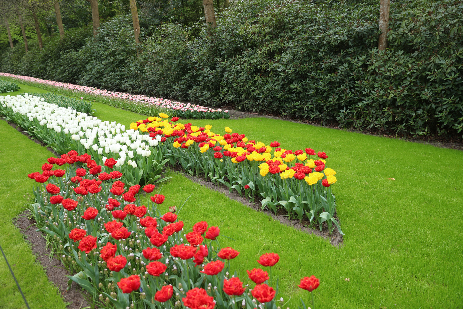 Keukenhof