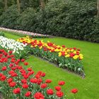 Keukenhof