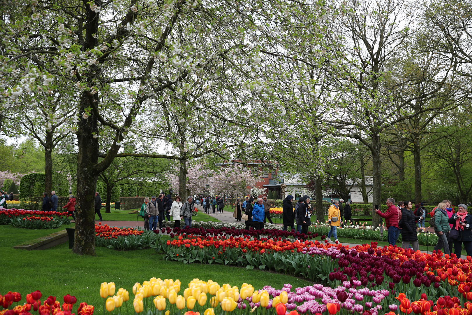 Keukenhof