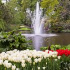 Keukenhof