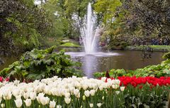 Keukenhof