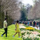 Keukenhof Blumenpark 