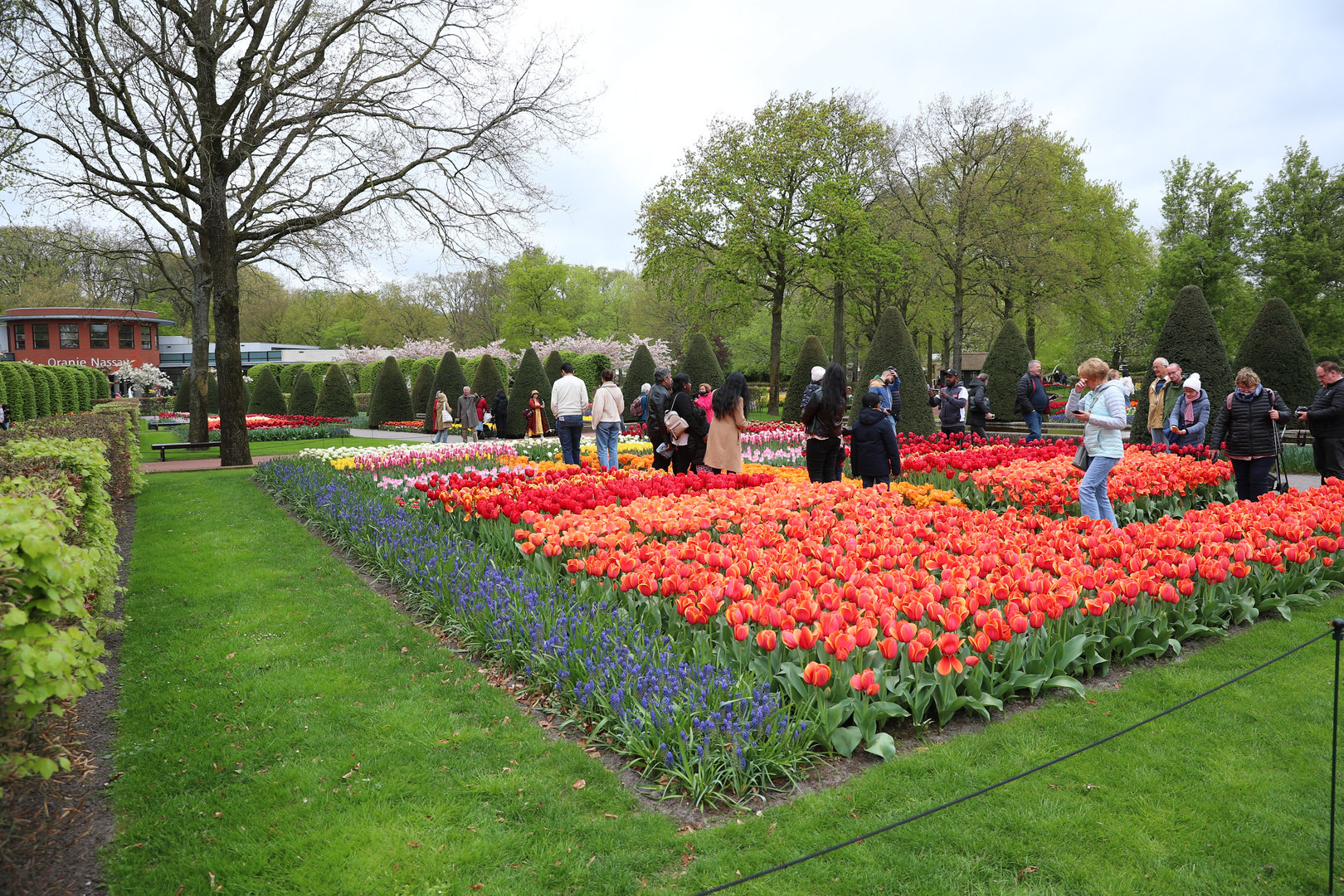 Keukenhof