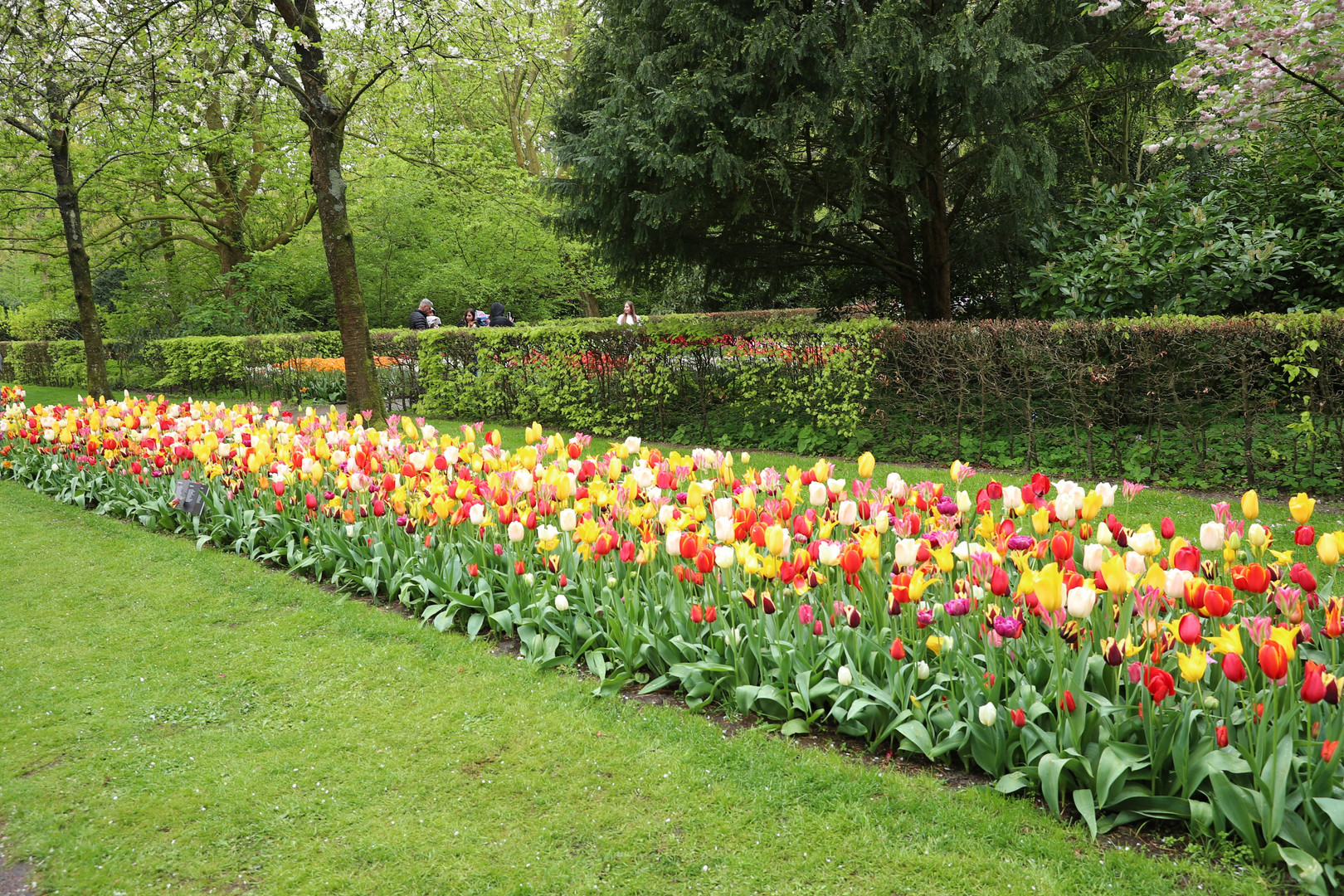 Keukenhof