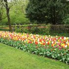 Keukenhof