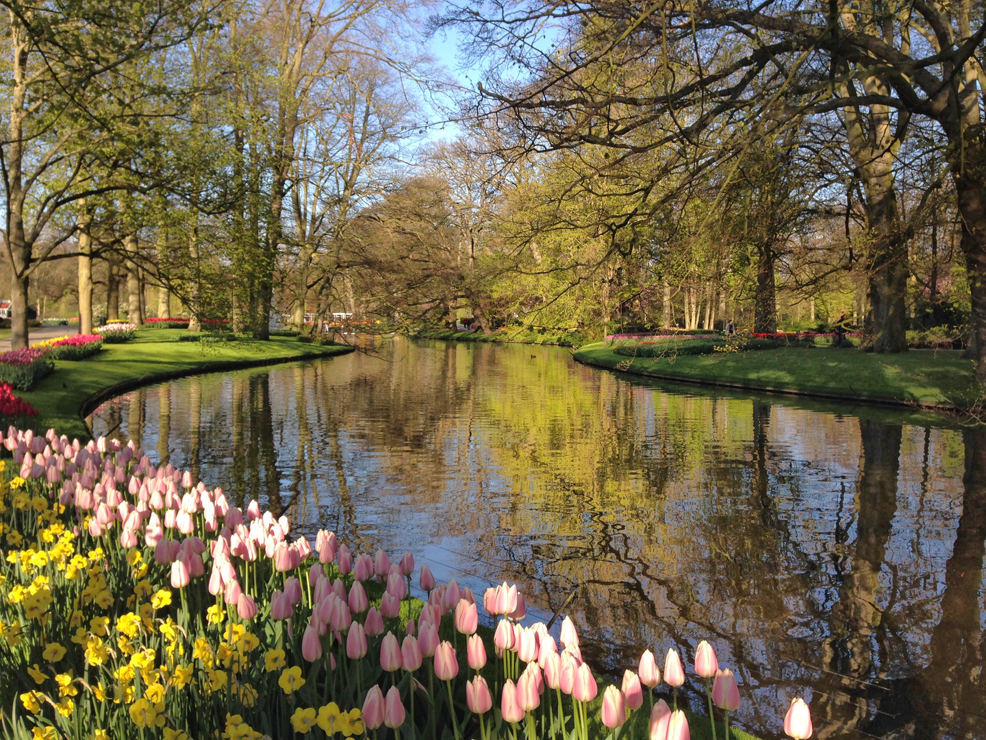 Keukenhof 