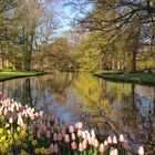 Keukenhof 