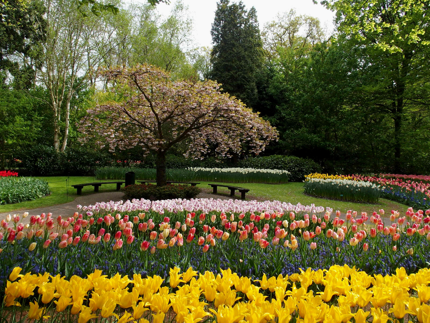 Keukenhof Foto & Bild landschaft, garten & parklandschaften