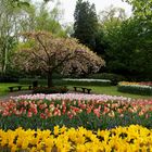 Keukenhof