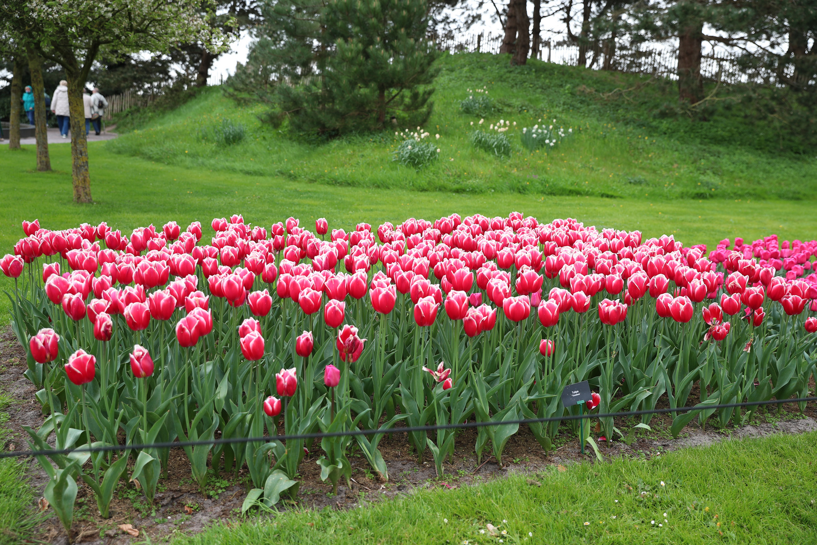 Keukenhof