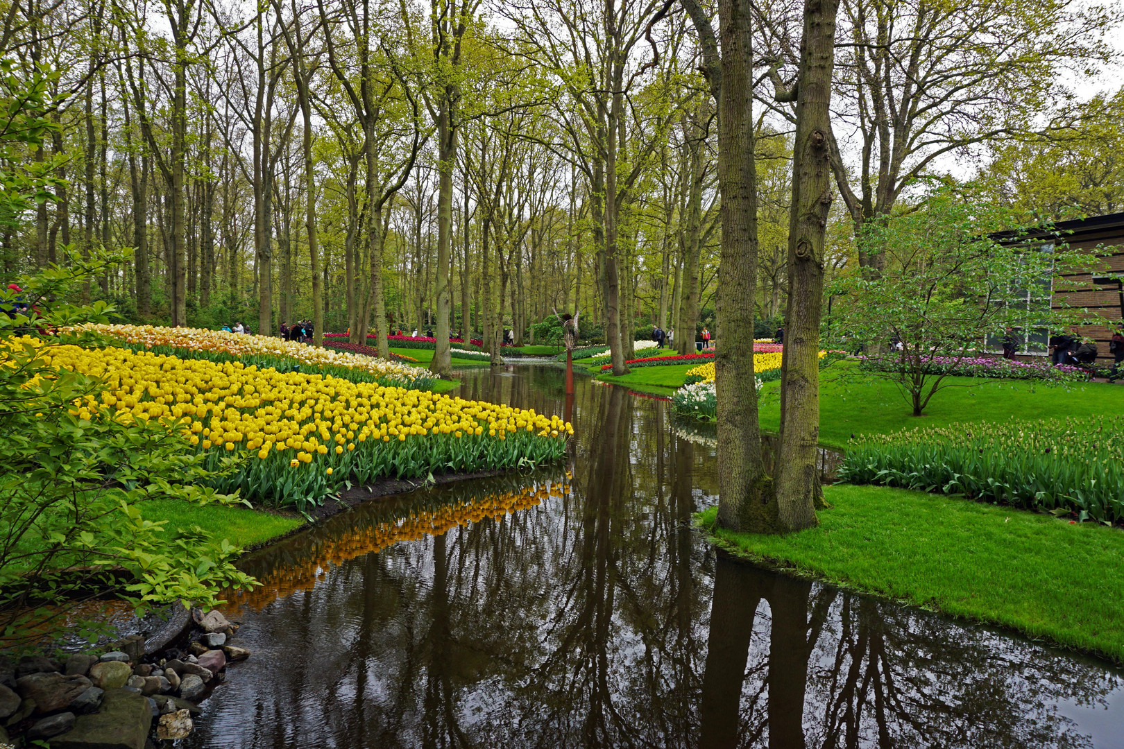 Keukenhof