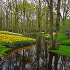 Keukenhof