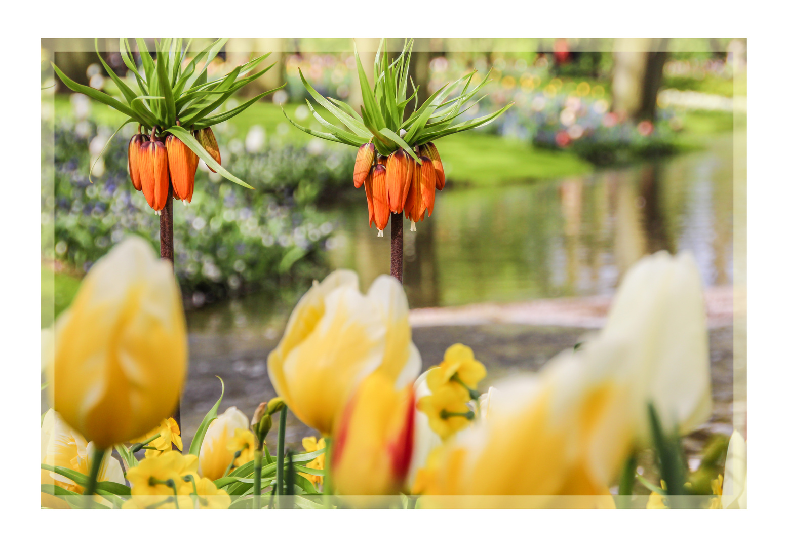 Keukenhof