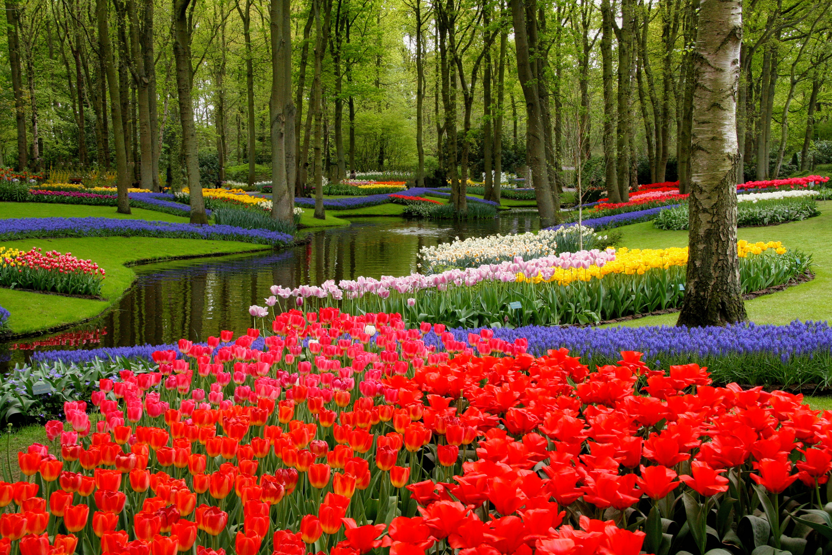 Keukenhof Holland