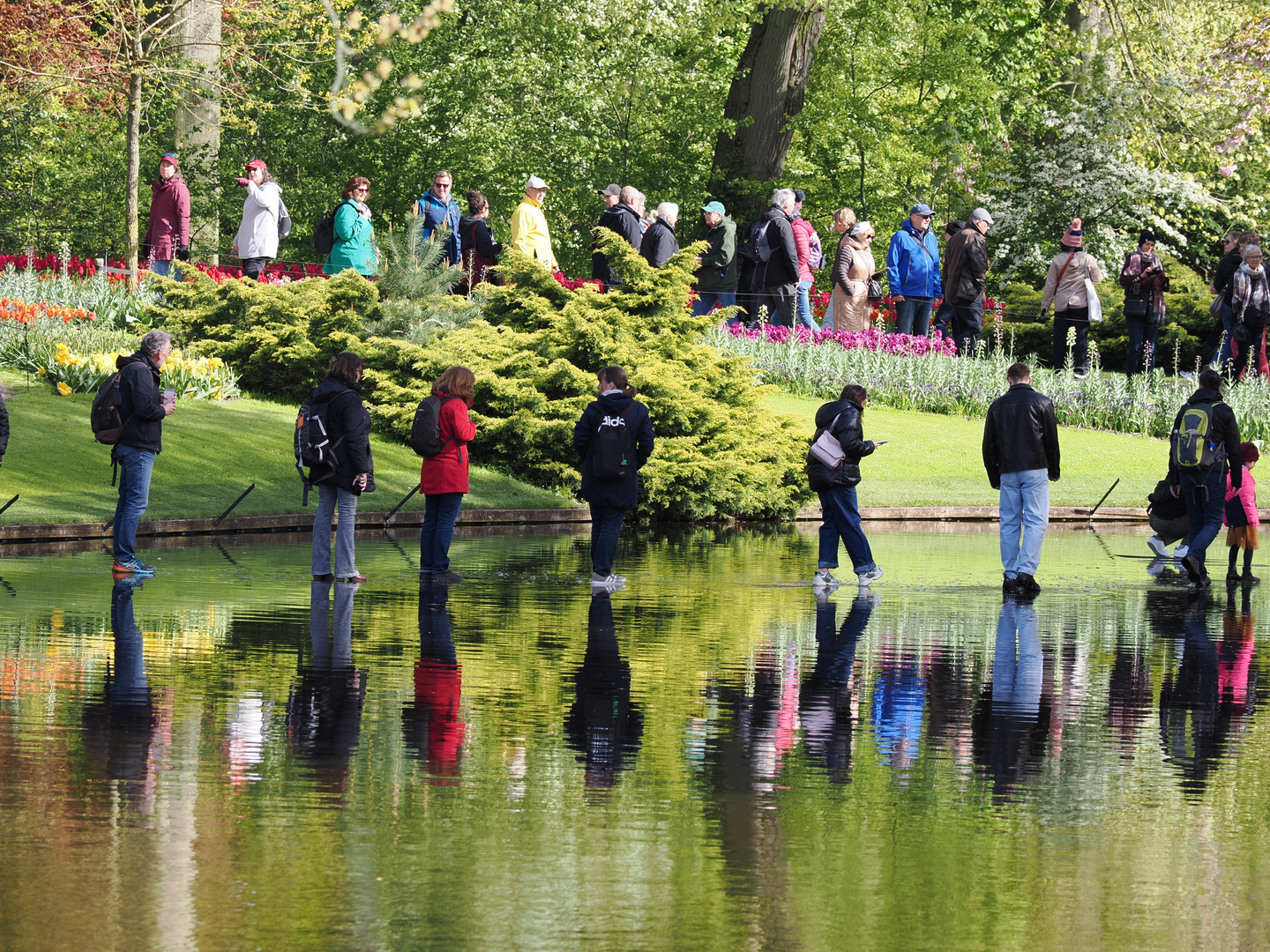 Keukenhof II.....