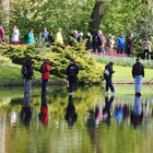 Keukenhof II.....