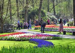 Keukenhof im Blumenrausch