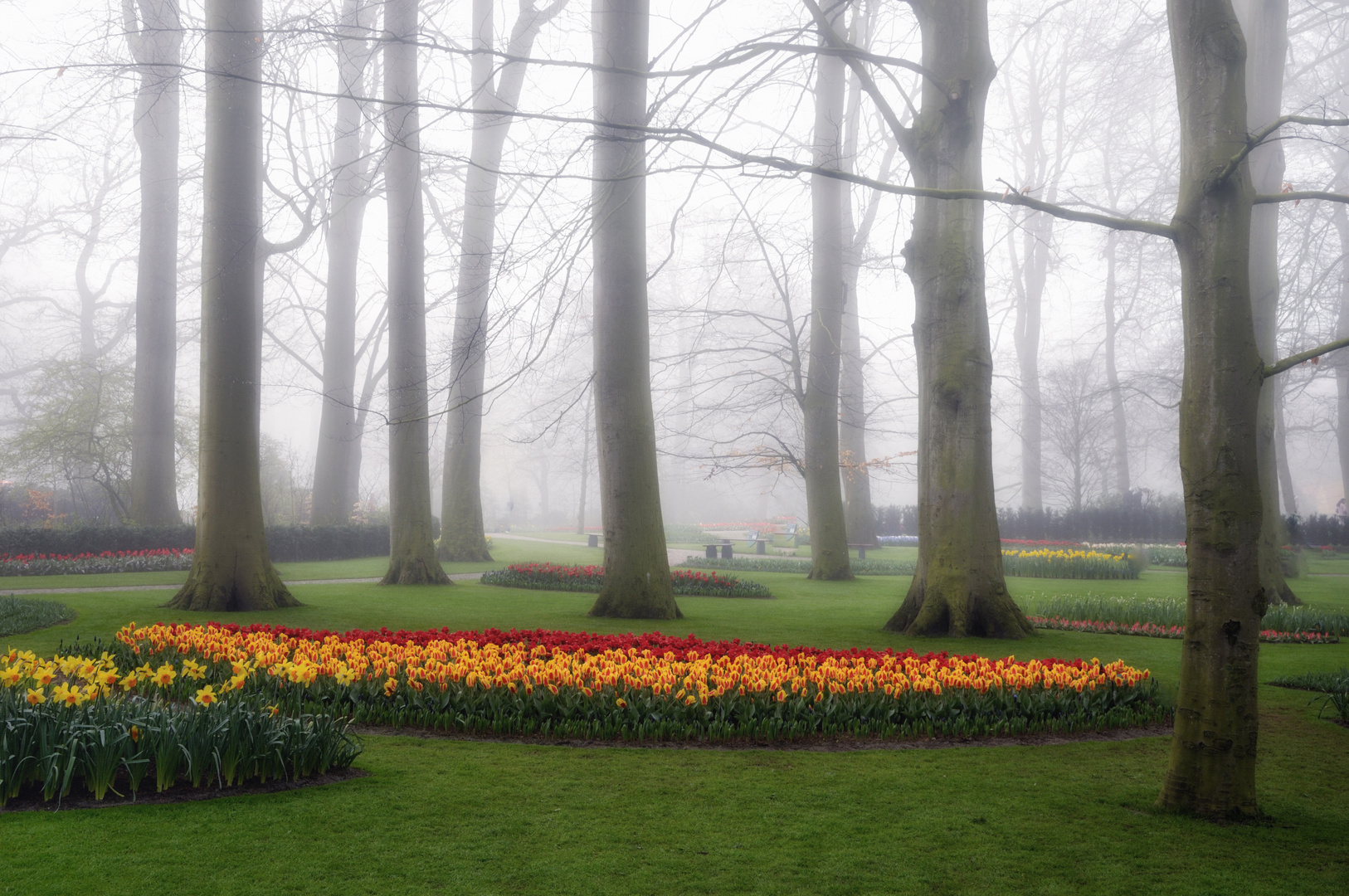 Keukenhof impressions (1)