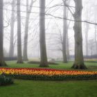 Keukenhof impressions (1)