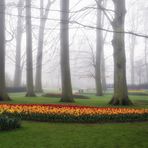 Keukenhof impressions (1)