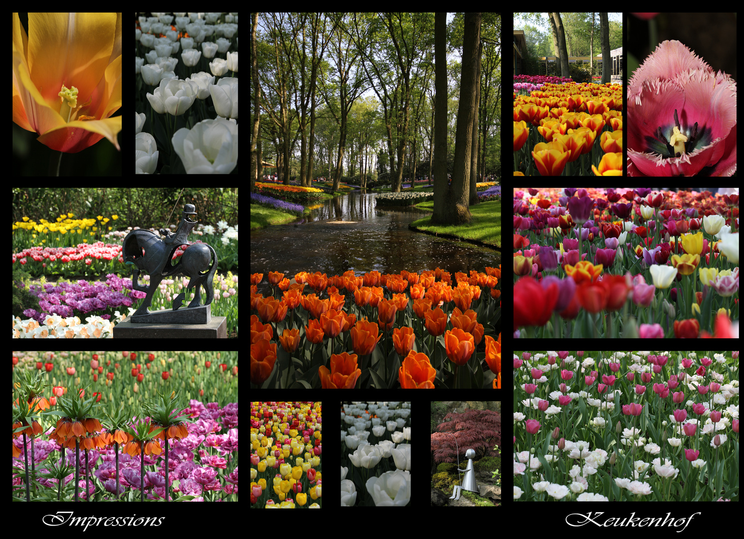 Keukenhof Impressions