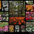 Keukenhof Impressions