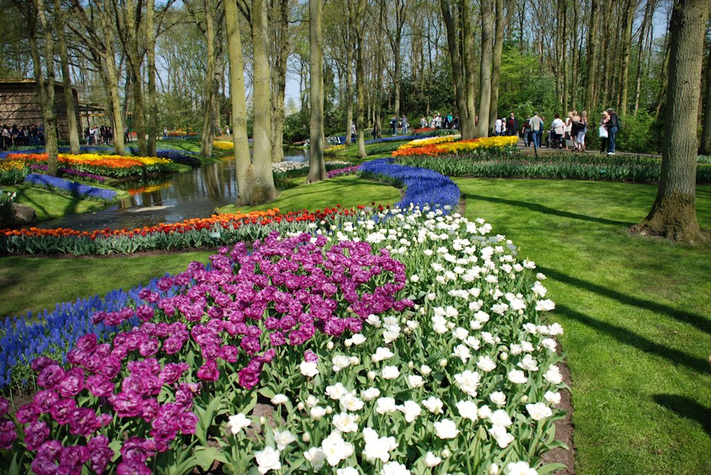 Keukenhof in den Niederlanden