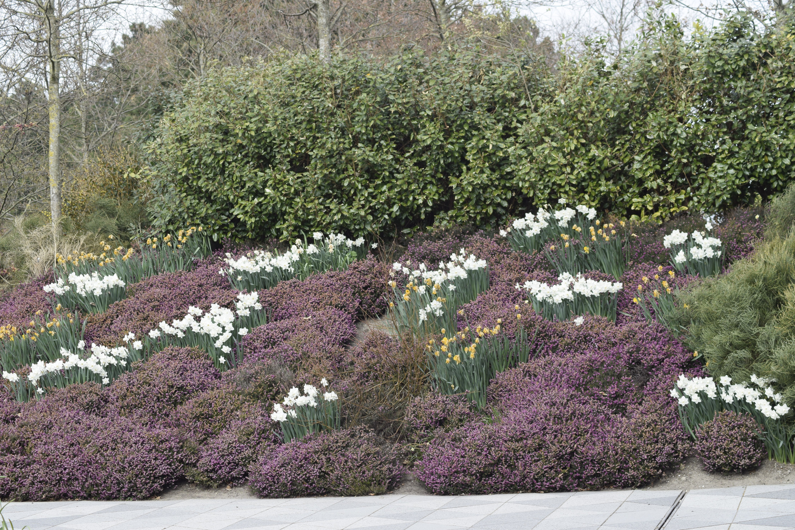 Keukenhof in Holland