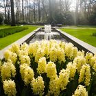 Keukenhof in the Netherlands