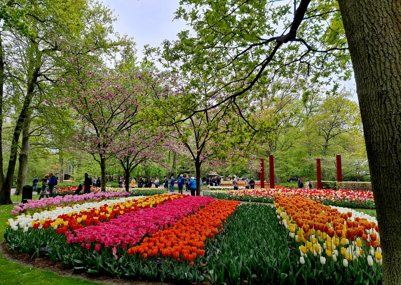 Keukenhof IV