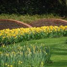 Keukenhof, Lisse (NL)