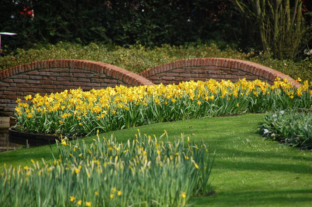 Keukenhof, Lisse (NL)