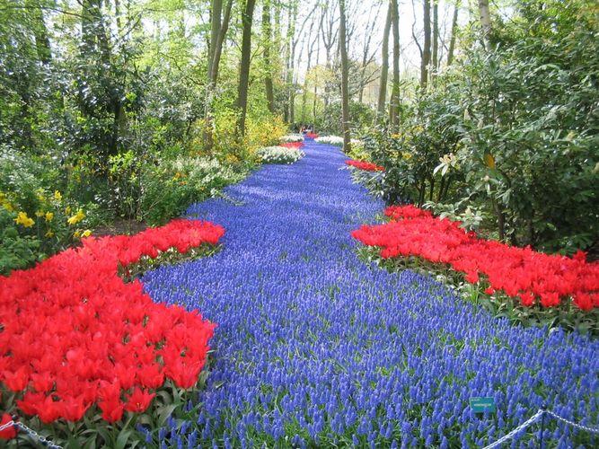 Keukenhof -Lisse-N,L.