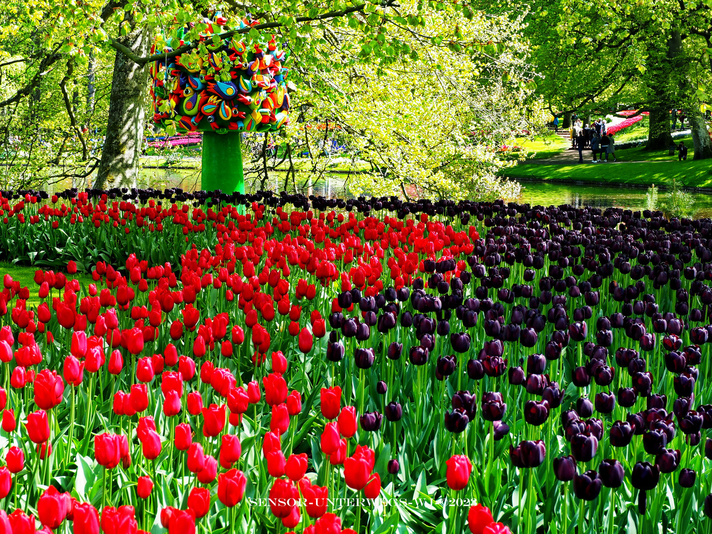 Keukenhof, Niederlande