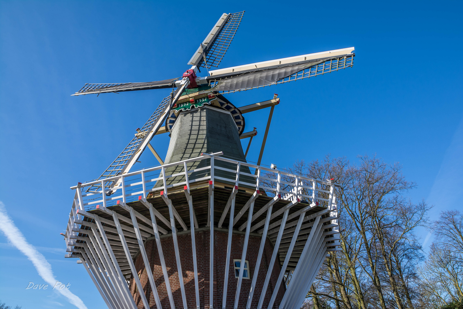 Keukenhof - Pays Bas