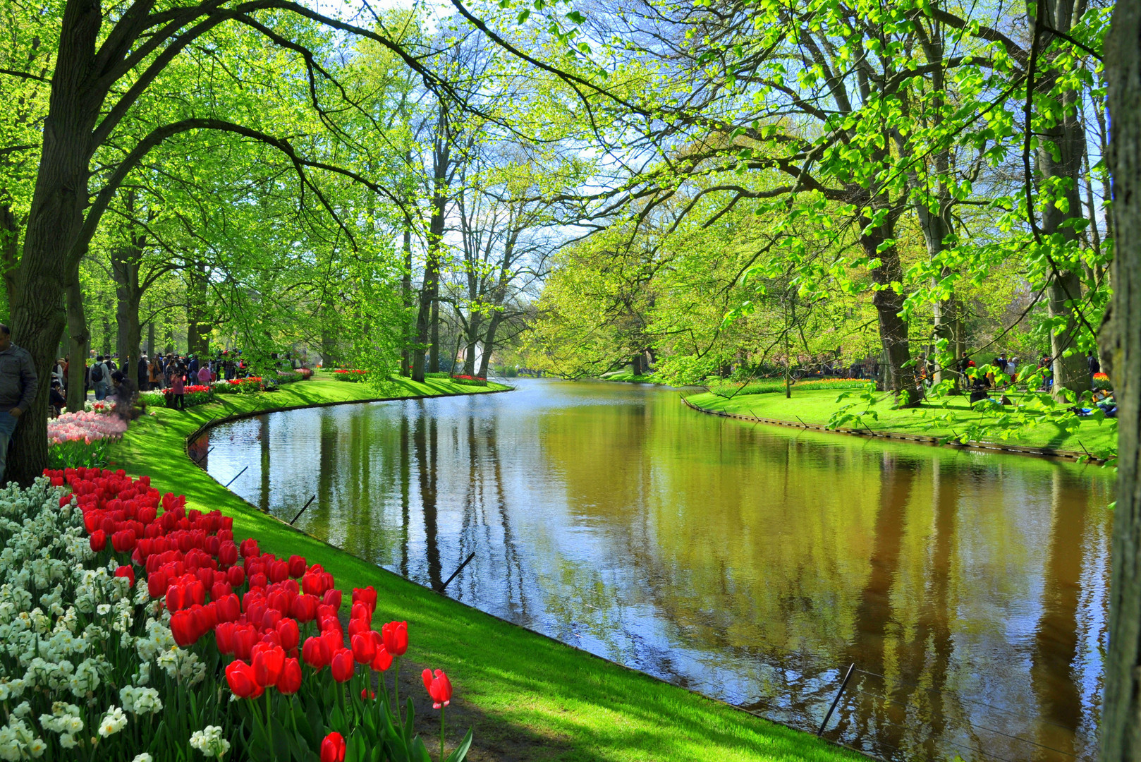 Keukenhof Tulpen 3