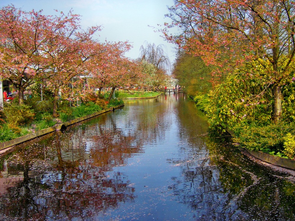 keukenhof/Holland