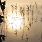 Keutschacher See bei Sonnenaufgang im Herbst