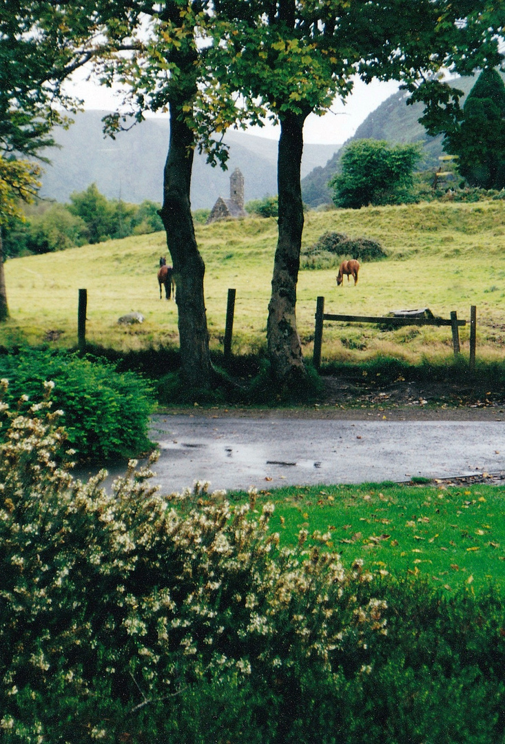 Kevin's Kitchen - Glendalough, Co. Wicklow, #1