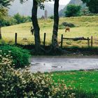 Kevin's Kitchen - Glendalough, Co. Wicklow, #1