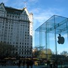 Kevins "Plaza" meets Steve Jobs "Apple"...