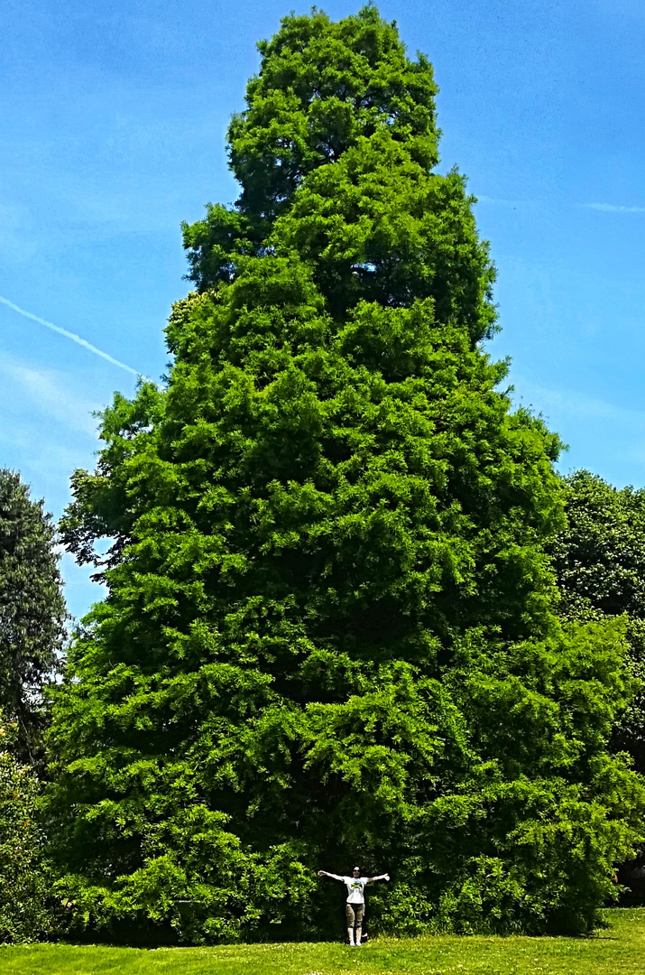 Kew Gardens 