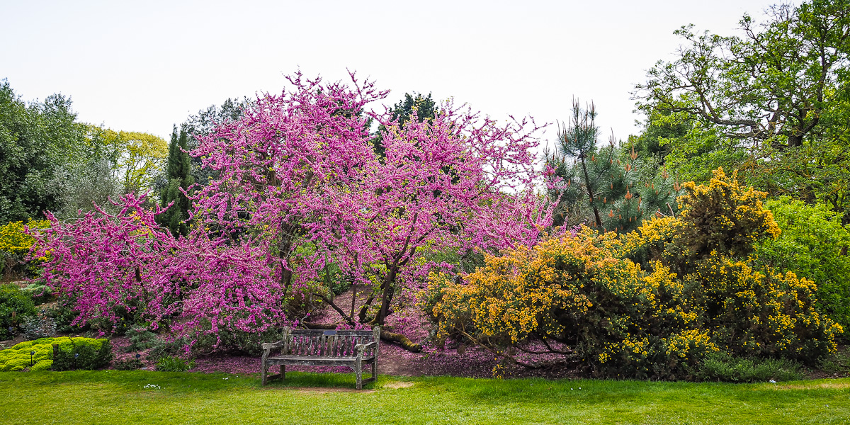 Botanischer Garten Garden 2017 kew gardens botanischer garten am 30 april 2017 Botanischer Garten Garden 2017 kew gardens botanischer garten am 30 april 2017