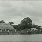 Kew Gardens VI